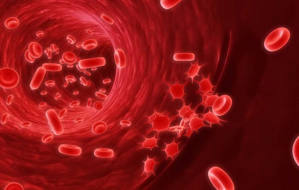 WOUND CARE Lifestyle DME Group